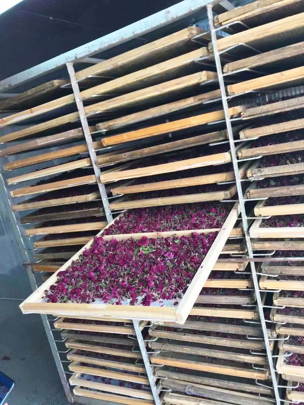 傳統的玫瑰花烘干方式